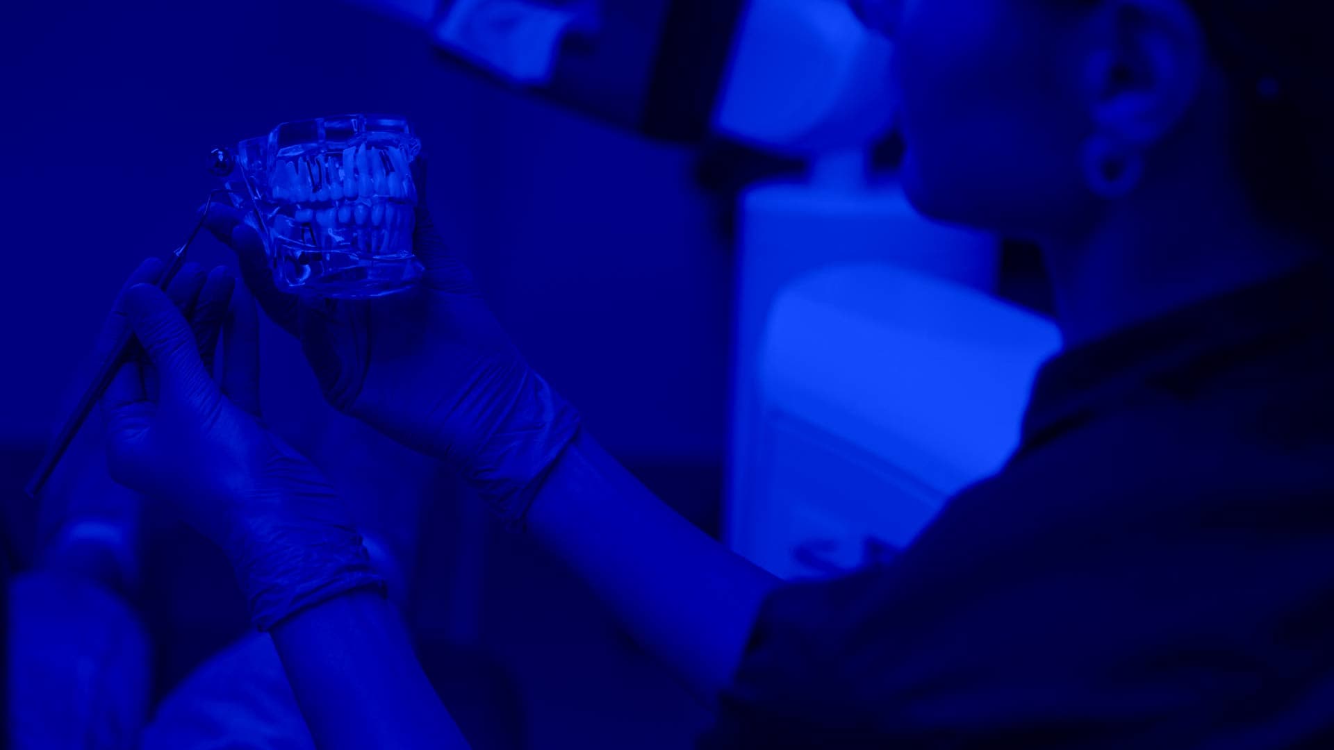 Person holding dental model